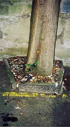 baumpflege