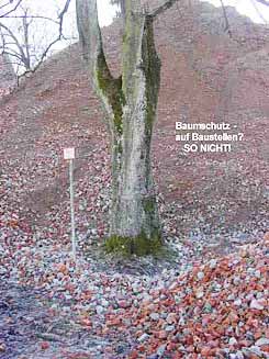 baumpflege