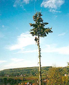 baumfaellung